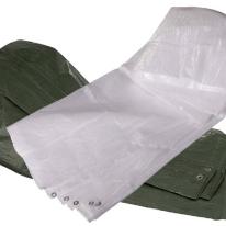 Presenning 2,5 x 3,6 m, transparent, 120 g/m²