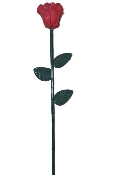 PS27-24 Rose PS27-24 Rose