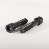 Unbrakoskrue cylindrisk hoved 10x30 mm