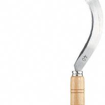 Segl med savtakket æg, 30 cm, Leborgne